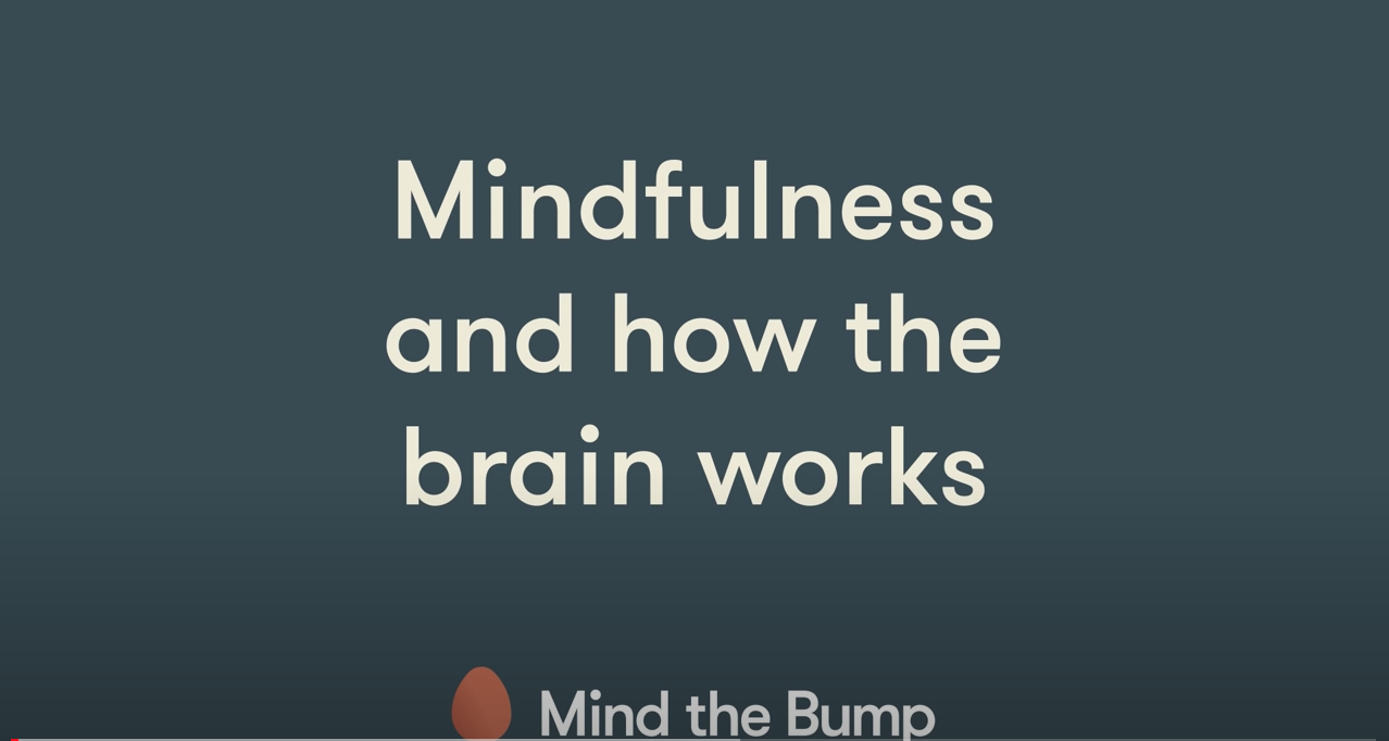 Video Hoe werken de hersenen voor initium mindfulness